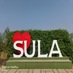 Sula_Vineyards.jpg